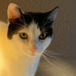 Meet your Posher, Stella